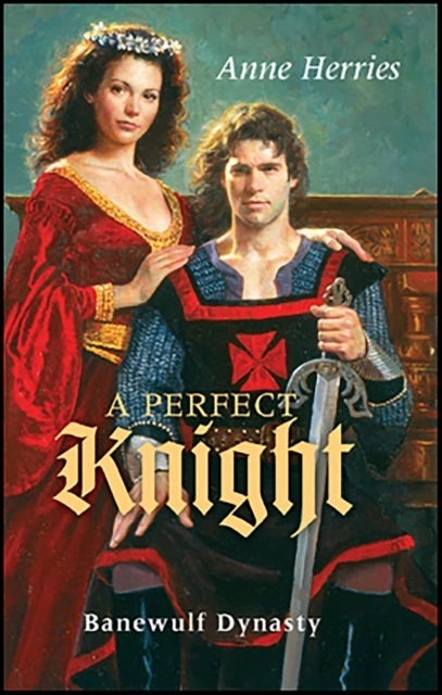 Perfect Knight