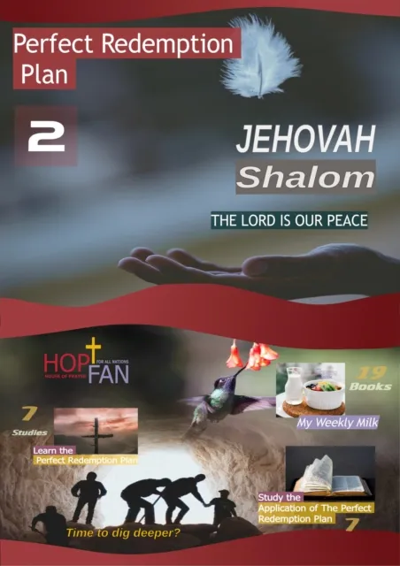 Perfect Redemption Plan 2