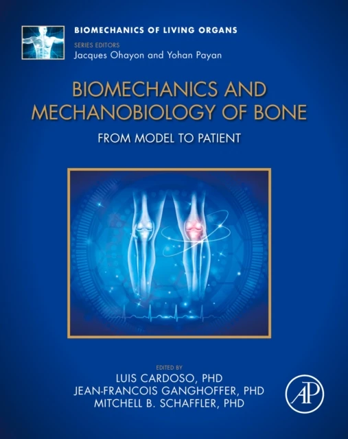 Biomechanics and Mechanobiology of Bone
