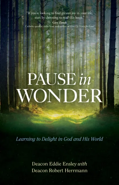 Pause in Wonder