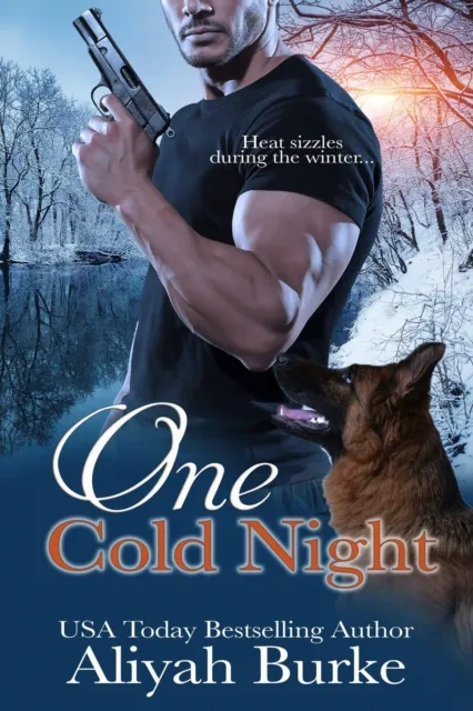One Cold Night