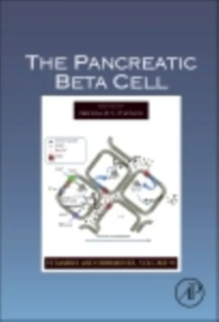 Pancreatic Beta Cell