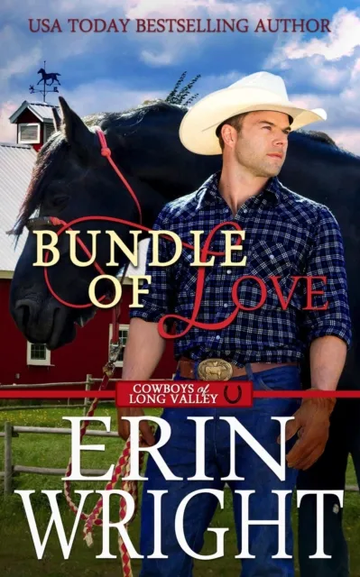 Bundle of Love: An Office Contemporary Western Romance