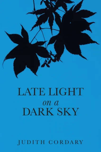 Late Light on a Dark Sky