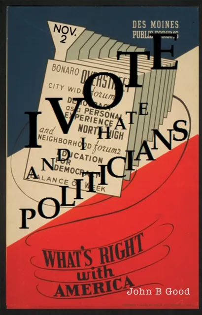 I Vote...And I Hate Politicians