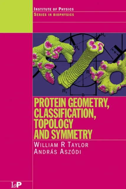 Protein Geometry, Classification, Topology and Symmetry