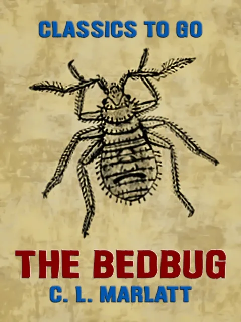 Bedbug