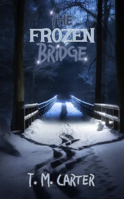 Frozen Bridge