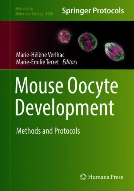 Mouse Oocyte Development