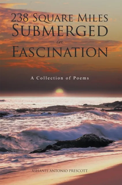 238 Square Miles Submerged in Fascination