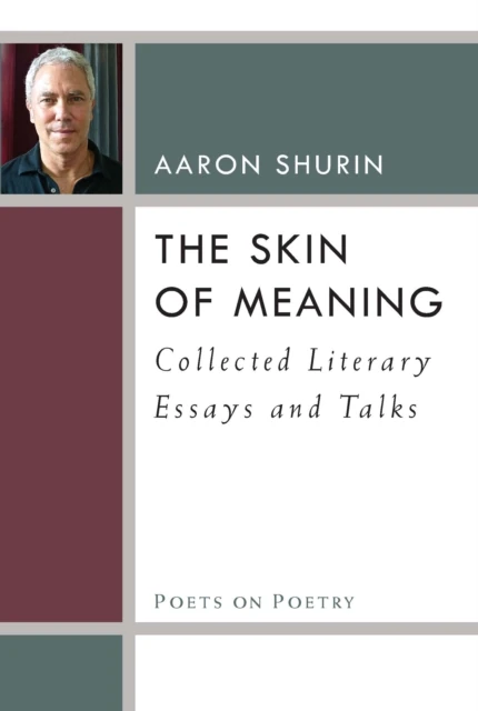 Skin of Meaning
