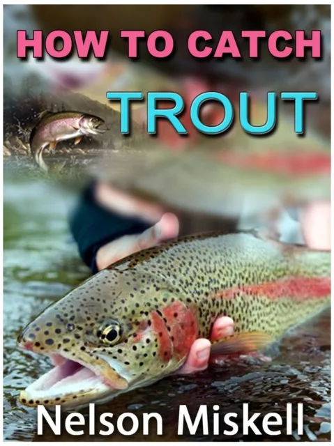 How To Catch Trout