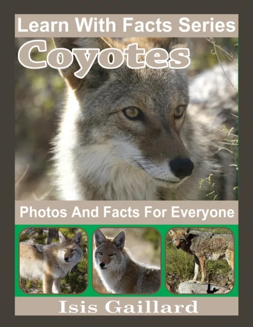 Coyotes Photos and Facts for Everyone