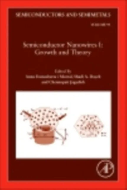 Semiconductor Nanowires I: Growth and Theory