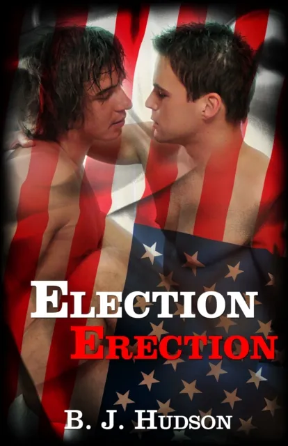 Election Erection