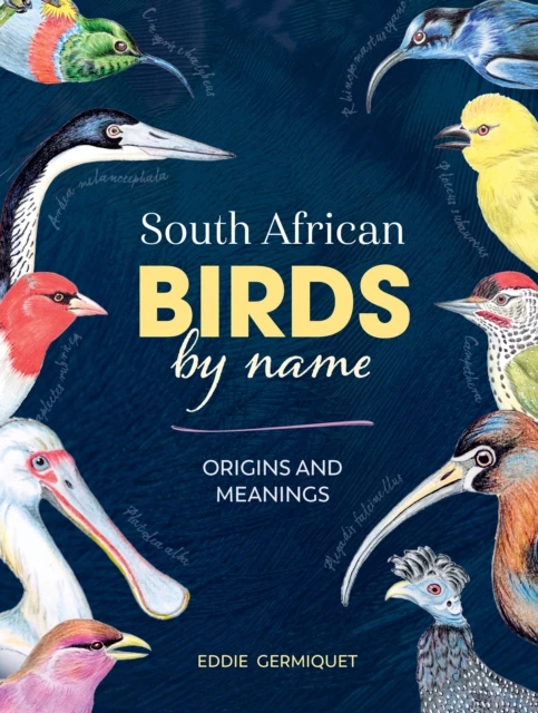South African Birds by name - Origins and Meanings