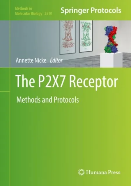 P2X7 Receptor