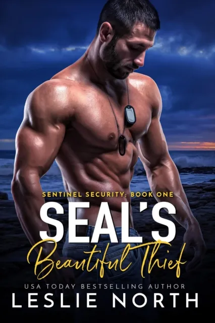 SEAL's Beautiful Thief