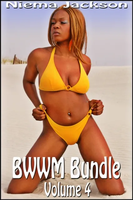 BWWM Bundle - Volume 4 (Interracial Romance BWWM)