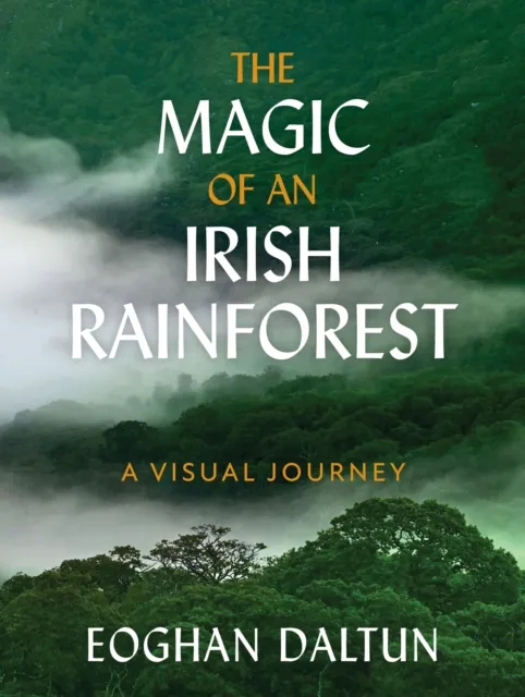 Magic of an Irish Rainforest