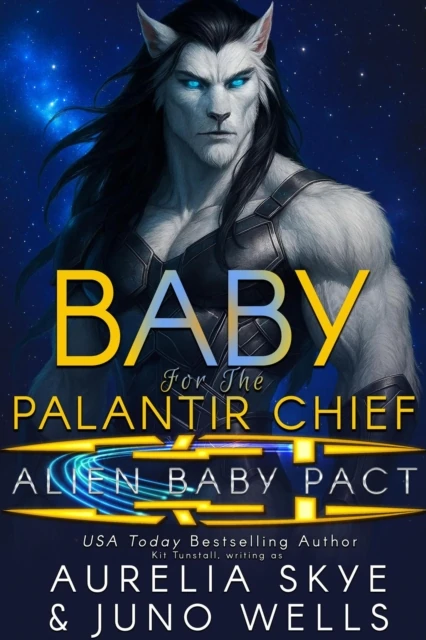 Baby For The Palantir Chief