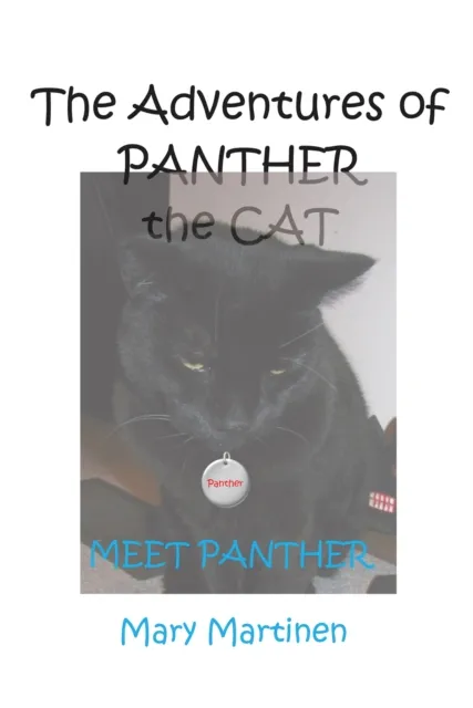 Adventures of Panther the Cat