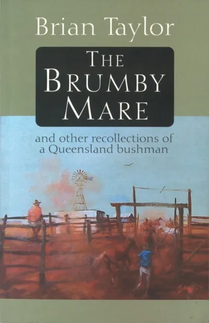 Brumby Mare
