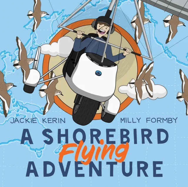 Shorebird Flying Adventure