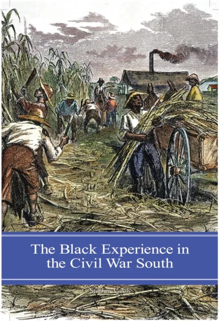 Black Experience in the Civil War South