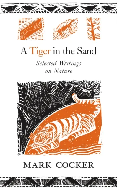 Tiger in the Sand