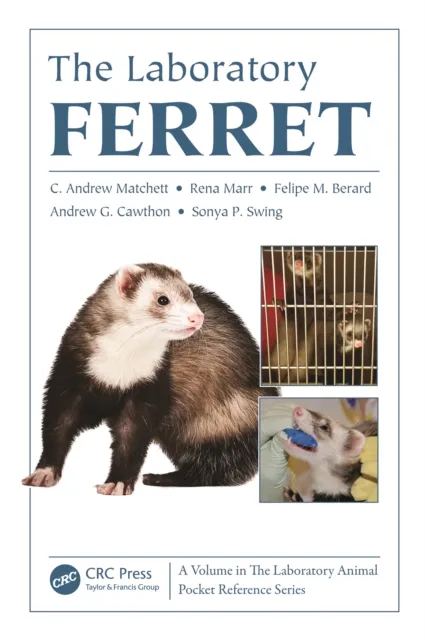 Laboratory Ferret