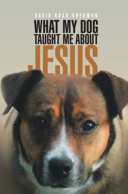 What My Dog Taught Me About Jesus