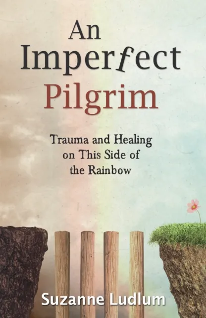 Imperfect Pilgrim