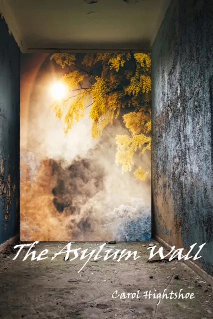 Asylum Wall