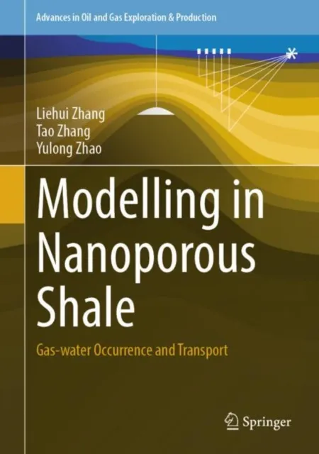 Modelling in Nanoporous Shale
