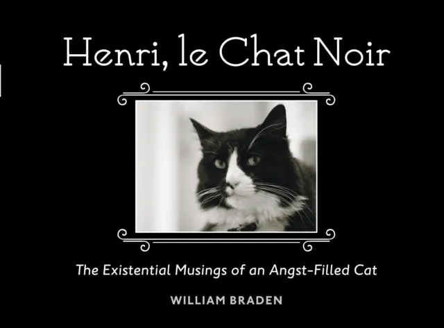 Henri, le Chat Noir