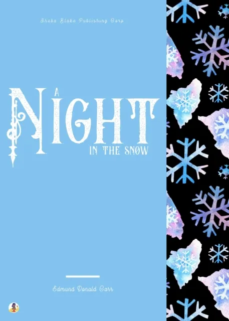 Night in the Snow
