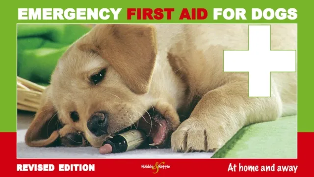 Emergency first aid for dogs