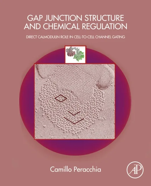 Gap Junction Structure and Chemical Regulation